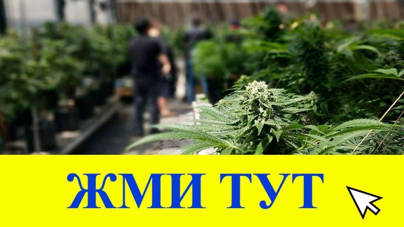 Купить наркотики в Сосногорске